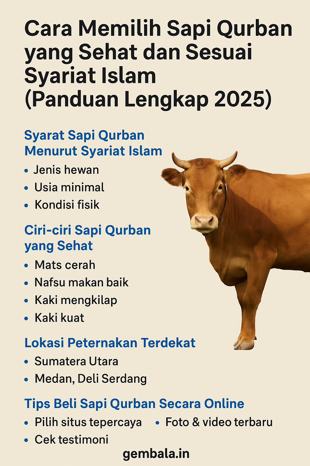 Cara Memilih Sapi Qurban yang Sehat dan Sesuai Syariat Islam (Panduan Lengkap 2025)